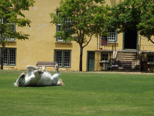 Fort de Goede Hoop.